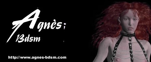 banniere Agnes Art